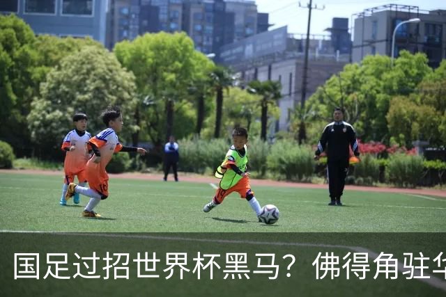 国足过招世界杯黑马？佛得角驻华大使：期待国家队来中国踢一场球