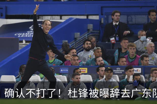 确认不打了！杜锋被曝辞去广东队主教练一职，新外教将全面接管！